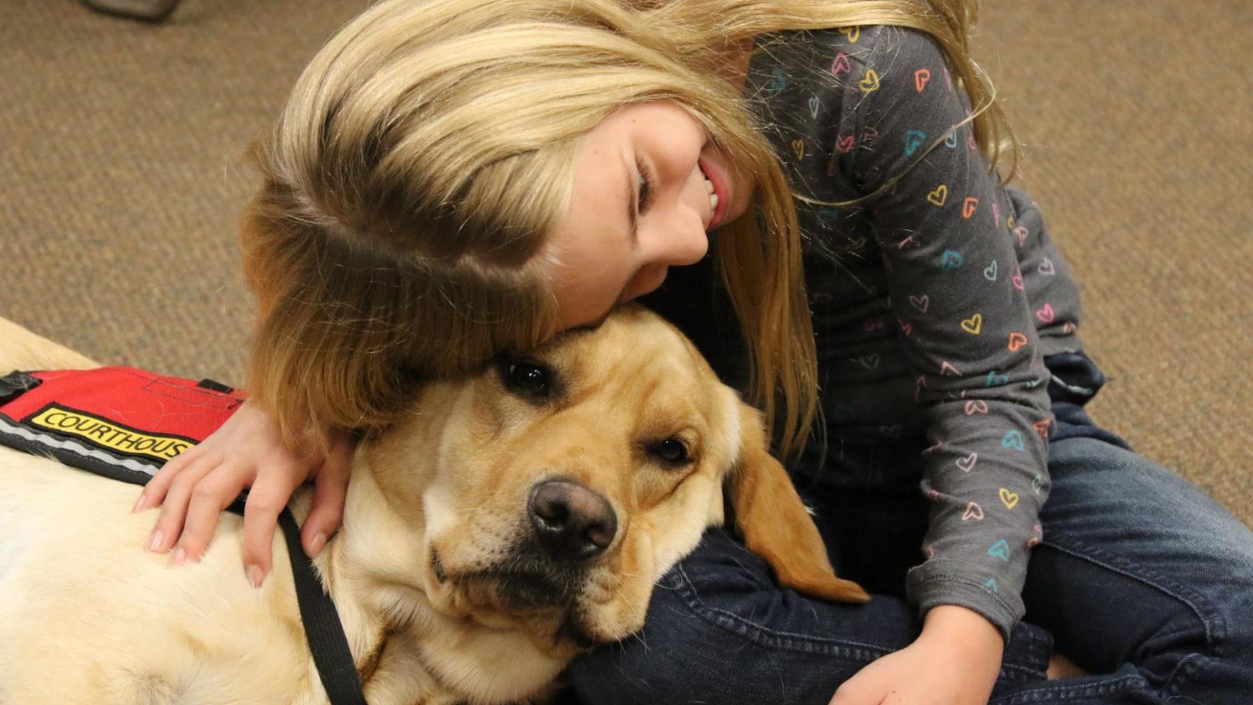 Pima County's Courthouse Dogs Program expands to include 1-year-old Labrador brothers